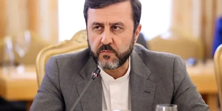 معاون وزیر خارجه: سران بریکس از درخواست الحاق ایران به سازمان تجارت جهانی حمایت قاطع کرده‌اند