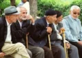 شهرداری: تهران بیش از ۱۳ درصد سالمند دارد/ پایتخت رتبه سوم سالمندان را در کشور دارد؛ در یک محله ۴ هزار و ۵۰۰ سالمند داریم که ۱۵ درصد آن‌ها منزوی بوده یا تنها زندگی می‌کنند