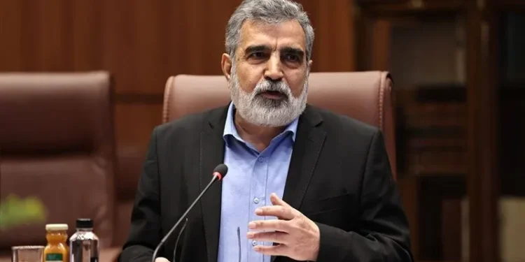 سخنگوی سازمان انرژی اتمی: ایران گزینه‌های زیادی برای دفاع از خود دارد / فارغ از اینکه آنها چه میزان فشار بر ما وارد کنند، ما بر این وضعیت غلبه خواهیم کرد
