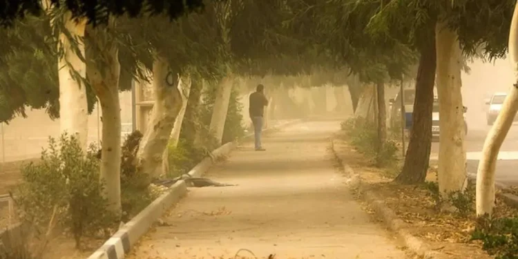 هواشناسی: وزش باد شدید در برخی نقاط تهران