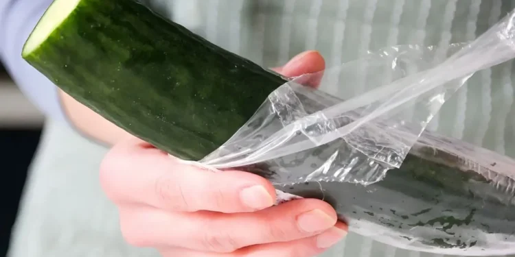 کاهش تماس غذا با پلاستیک، حجم مواد شیمیایی مضر در بدن را به سرعت کم می‌کند
