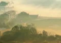 ببینید / منظره‌ای تماشایی از رقص نور و مه در پارک جنگلی «چی‌فو»