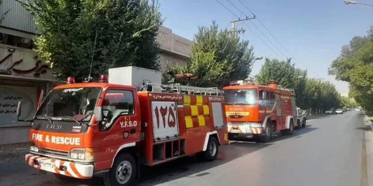 آتش‌سوزی چند درخت در حوالی ورزشگاه انقلاب / آتش نشانی: بی‌احتیاطی کارگران ساختمانی سبب آتش سوزی شد