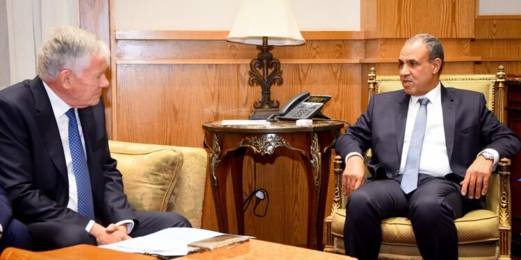 تاکید عبدالعاطی بر ضرورت حفظ ساختار کشور فلسطین در دیدار با فرستاده فرانسه