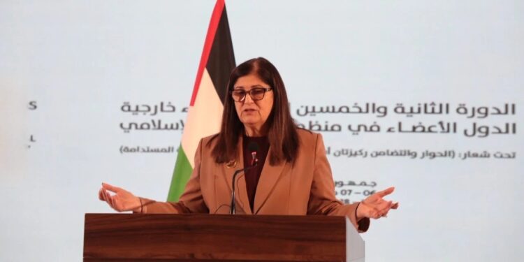 وزیر خارجه فلسطین در بغداد: با فشارهای مالی شدیدی مواجهیم