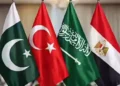 خبرنگار میدل ایست آی درباره نشست روز جمعه در استانبول: این اتفاق به معنای به رسمیت شناختن قابل توجه جایگاه گروه چهار کشور منطقه‌ای، یعنی پاکستان، عربستان، مصر و ترکیه است