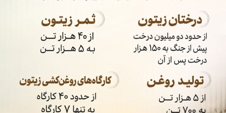 اینفوگرافیک؛زیتون در غزه؛ خسارت‌هایی فراتر از برداشت