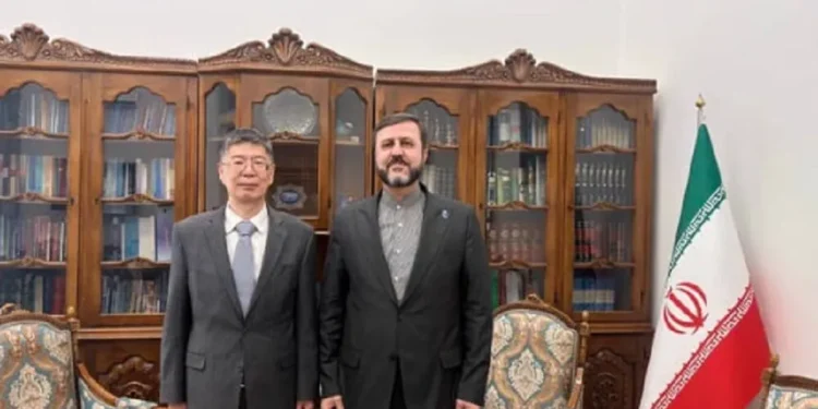 غریب‌آبادی: ایران و چین هر دو بر لزوم توسعه همکاری‌های جنوب جهانی تاکید دارند