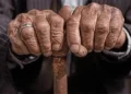 دبیرخانه شورای ملی سالمندان: بیش از ۳۰ درصد جمعیت ایران در افق ۱۴۳۰ سالمند خواهند بود