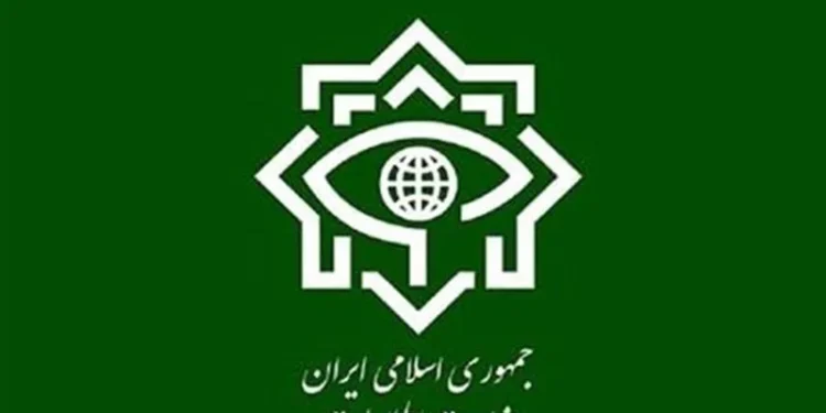 وزارت اطلاعات: انهدام ۴ شبکه خرابکاری خیابانی و بازداشت ۳۱ عامل مرتبط با دشمن در کرمان