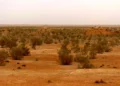 رایزنی عراق و ایران برای حل معضل گردوغبار فرامرزی