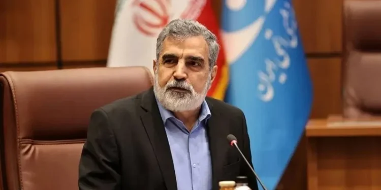 سخنگوی سازمان انرژی اتمی: اگر منافع ما در دیپلماسی به دست آید، چه بهتر/ صنعت هسته‌ای ریشه در ایران دارد و نمی‌تواند با ضربه از بین برود؛ متاسفانه دشمن این را هنوز هم نفهمیده