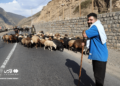 تصاویر: انسداد پر دردسر