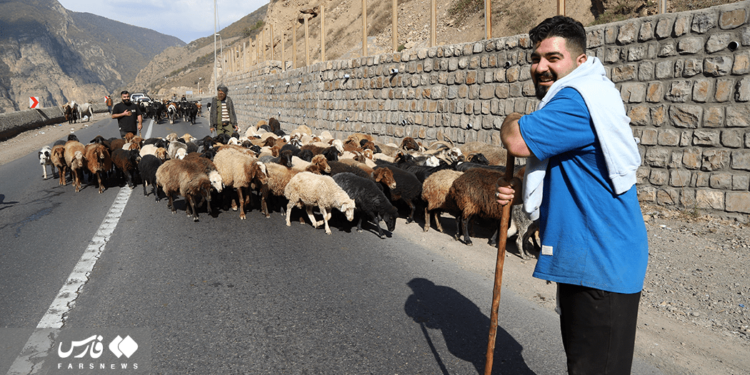 تصاویر: انسداد پر دردسر