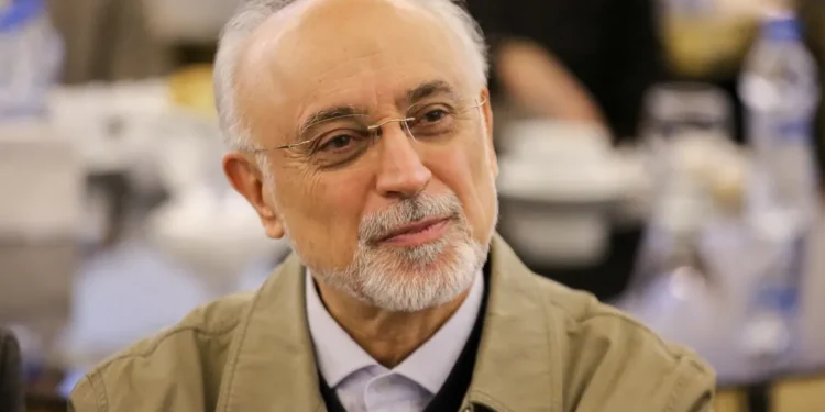 علیاکبر صالحی: ریشهداشتن در یک فرهنگ ملی، نه مانع جهانشمولی، بلکه میتواند سرچشمه آن باشد؛ اندیشهای که از تجربهای اصیل و عمیق برمیخیزد، توانایی بیشتری برای برقراری ارتباط با وجدان مشترک انسانها دارد / درخشش جهانی حافظ جلوهای از ظرفیت فرهنگ ایرانی برای گفتوگو با جهان است