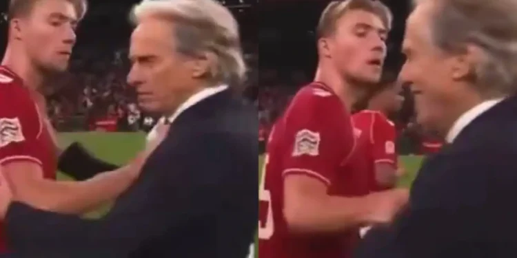 هویلوند با هل دادن ژسوس انتقام رونالدو را گرفت!